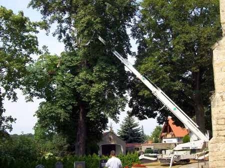 Teupen Spider Lifts - LE0 30 T