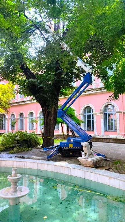 Ruthman Bluelift SA 18