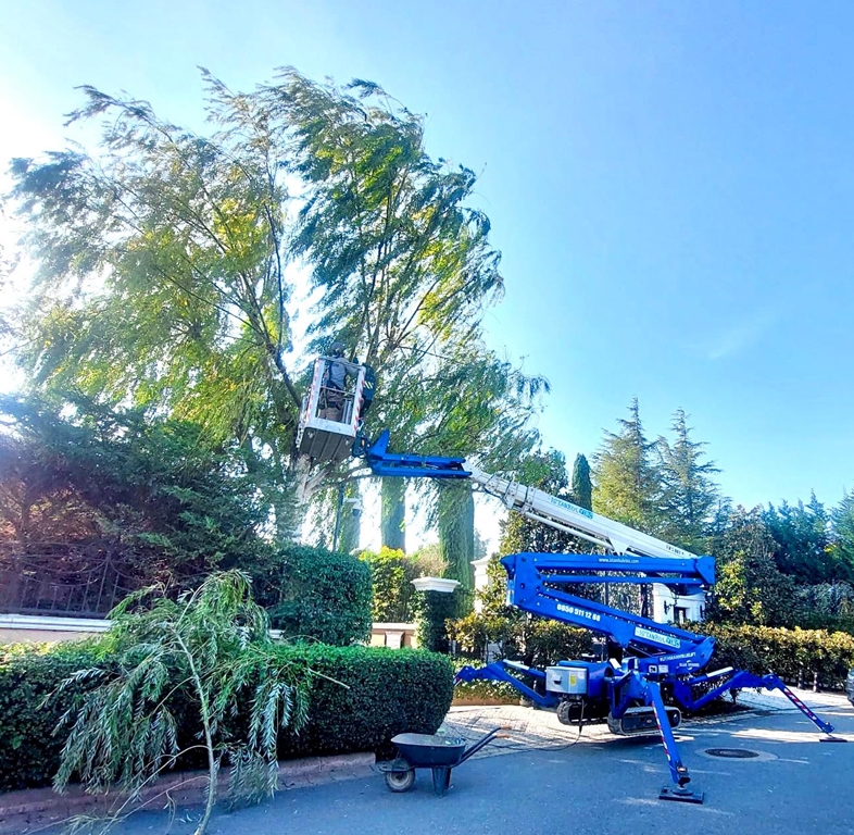 Fatih Manlift Kiralama 